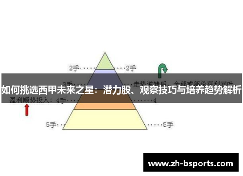 如何挑选西甲未来之星：潜力股、观察技巧与培养趋势解析